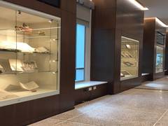 SPARC Project Wall Display cases