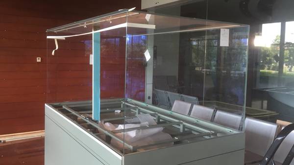 1 Freistehende Vitrine F304